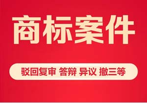 商標(biāo)代理機(jī)構(gòu)的業(yè)務(wù)范圍包含哪些?一篇講透核心業(yè)務(wù)，選對(duì)機(jī)構(gòu)不吃虧!